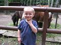 Zoo 05